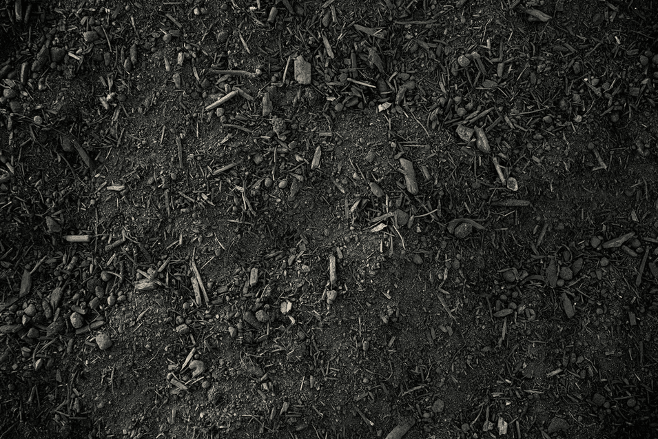 Garden Blended Soil