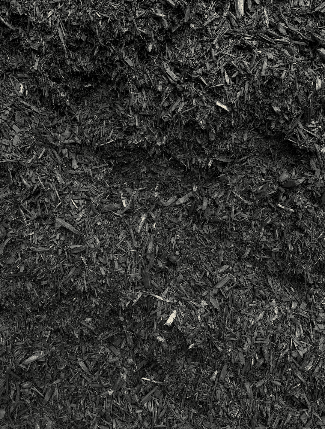 Jet Black Mulch