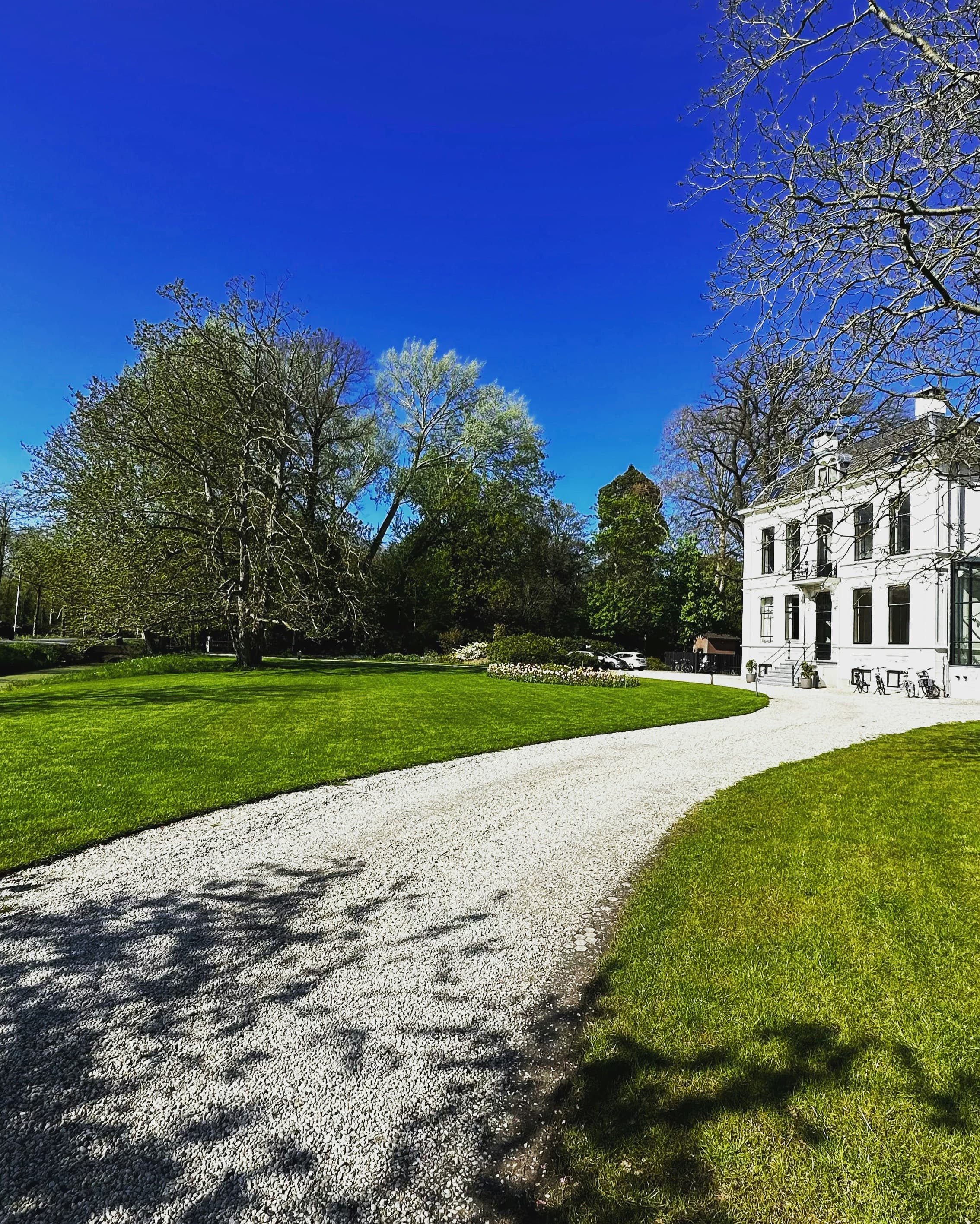 Crusher Run Gravel vs #57 Gravel: Which Driveway Rock Actually Saves You Money?