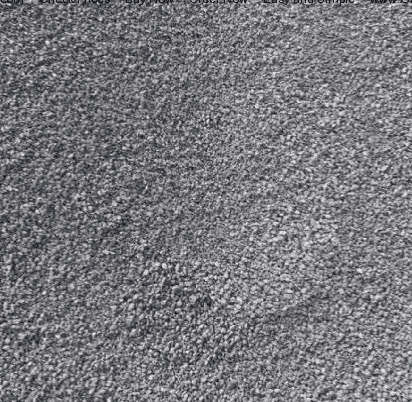 W-10 Screenings Granite